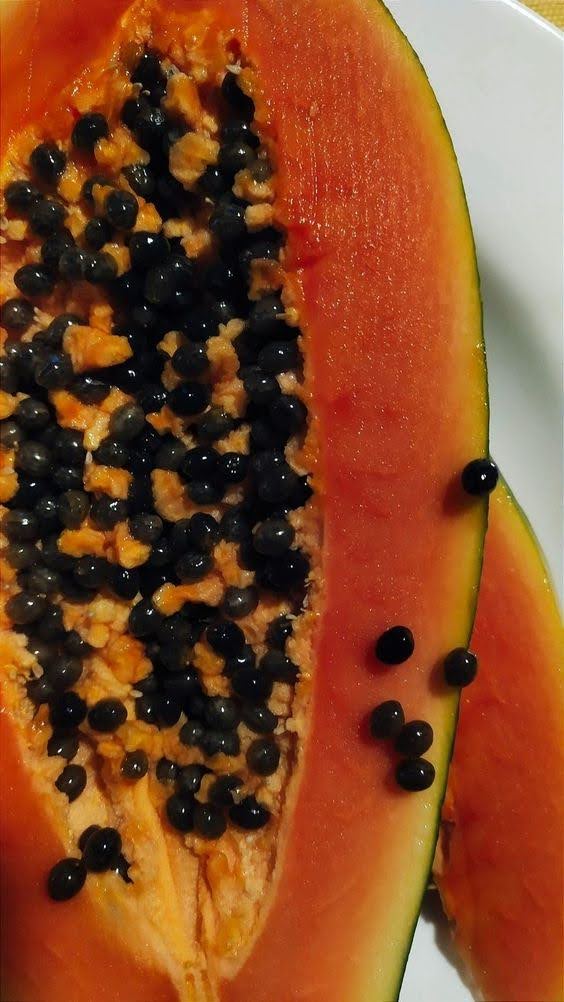 PAPAYA ENZYMES