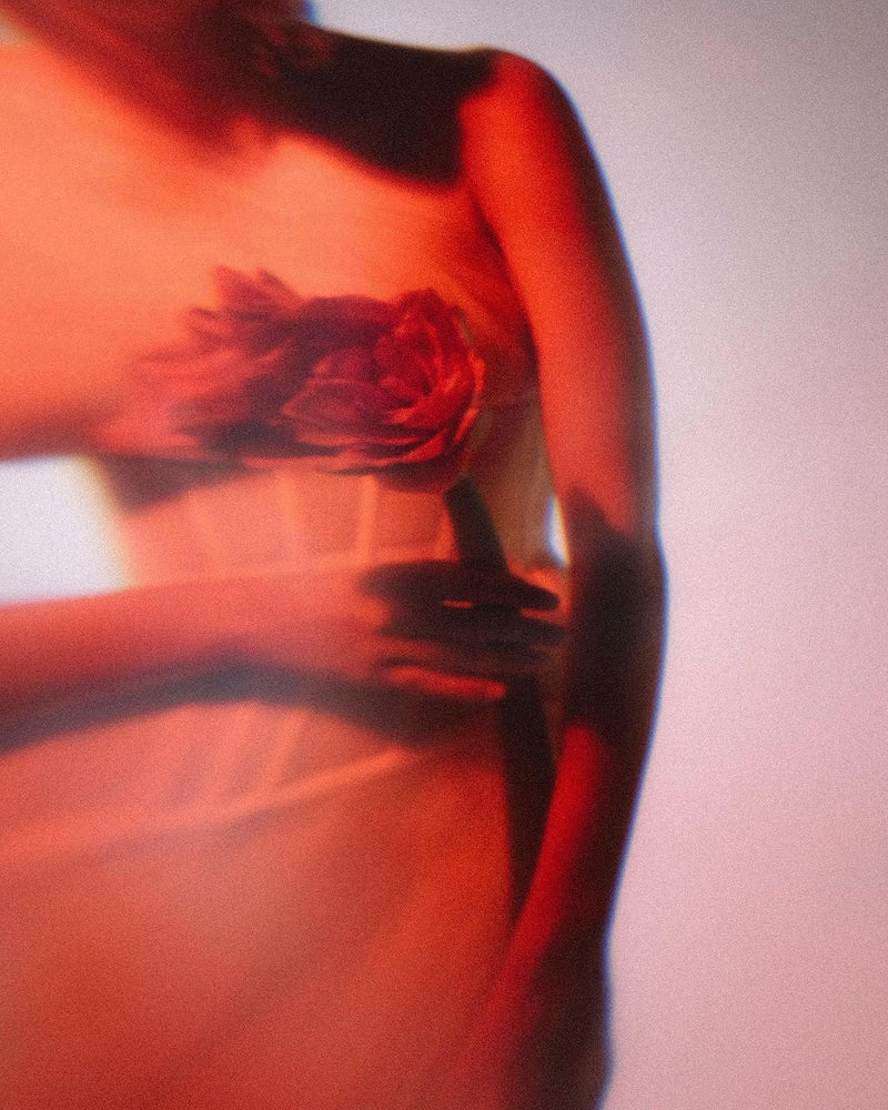 Roses. A beauty ritual olden than trends.