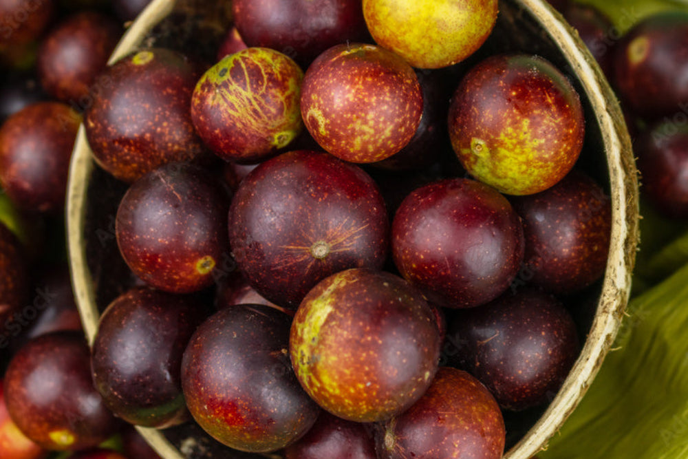 CAMU CAMU