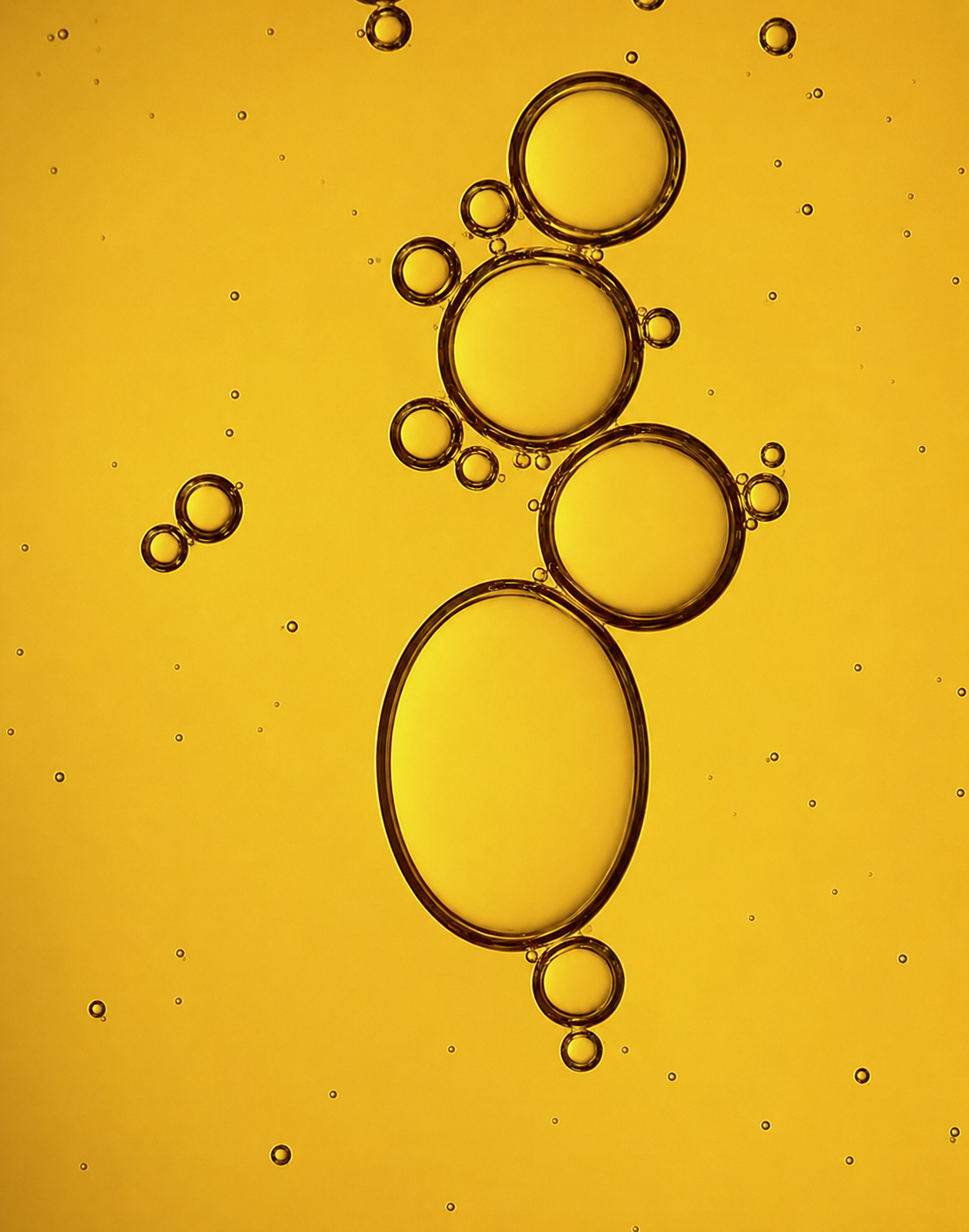 CERAMIDE NP