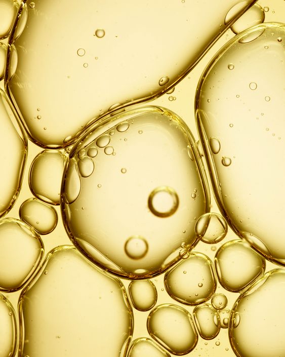 PLANT COLLAGEN