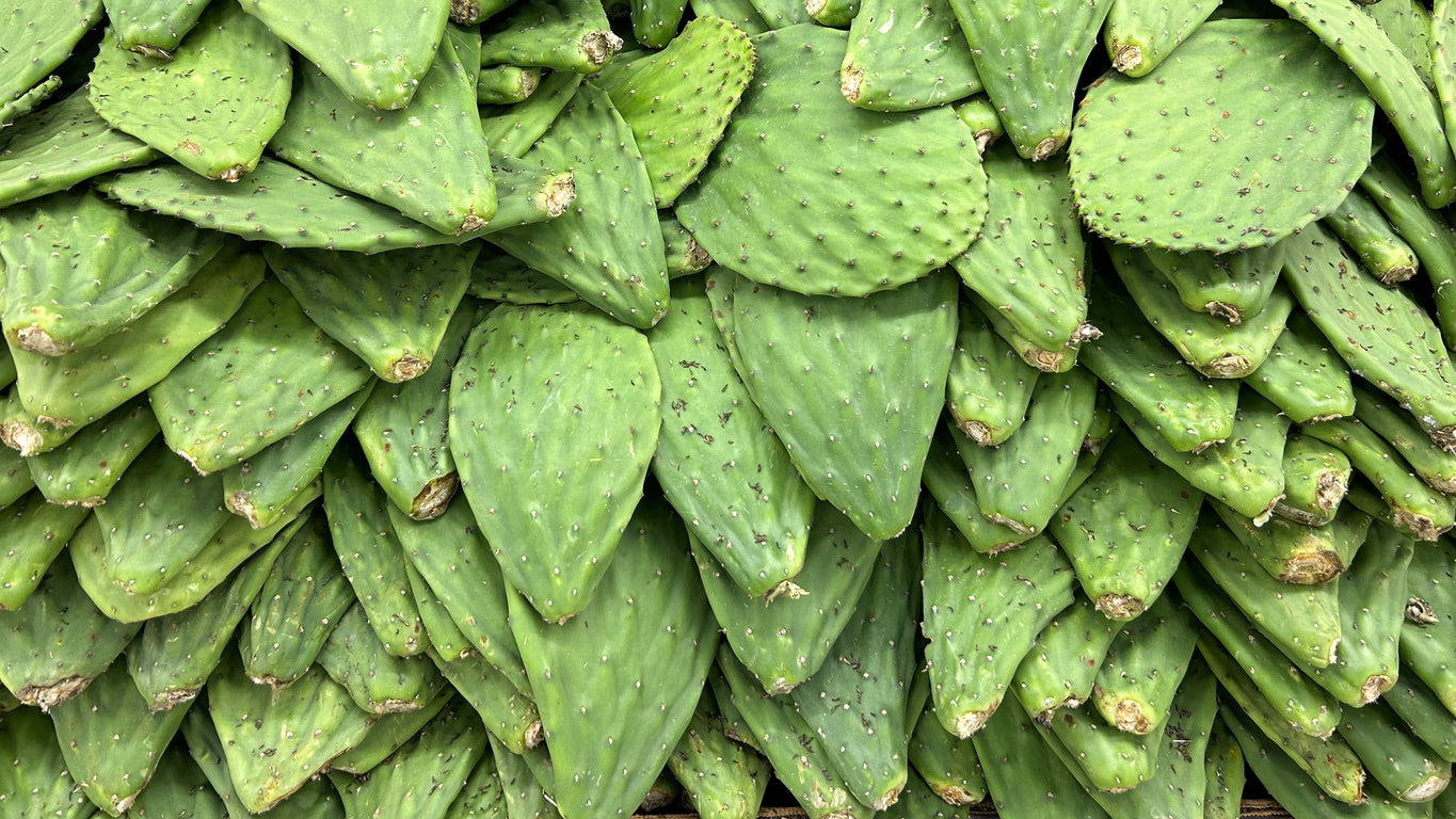 Prickly Pear