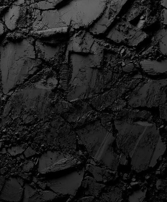 BIRCH CHARCOAL AND GRAPHITE