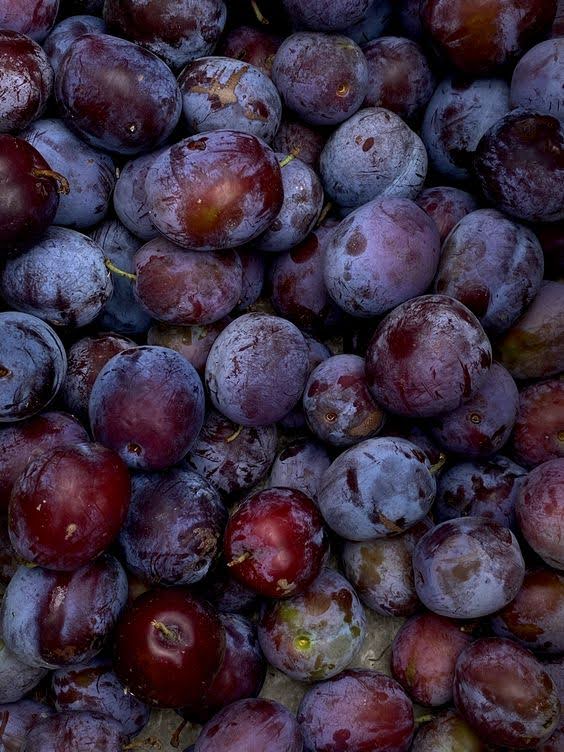 PLUM and APRICOT